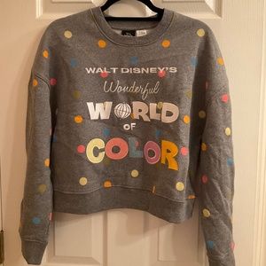 Disney World of Color Grey Sweatshirt - Medium BRAND NEW
